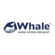 Whale Whale